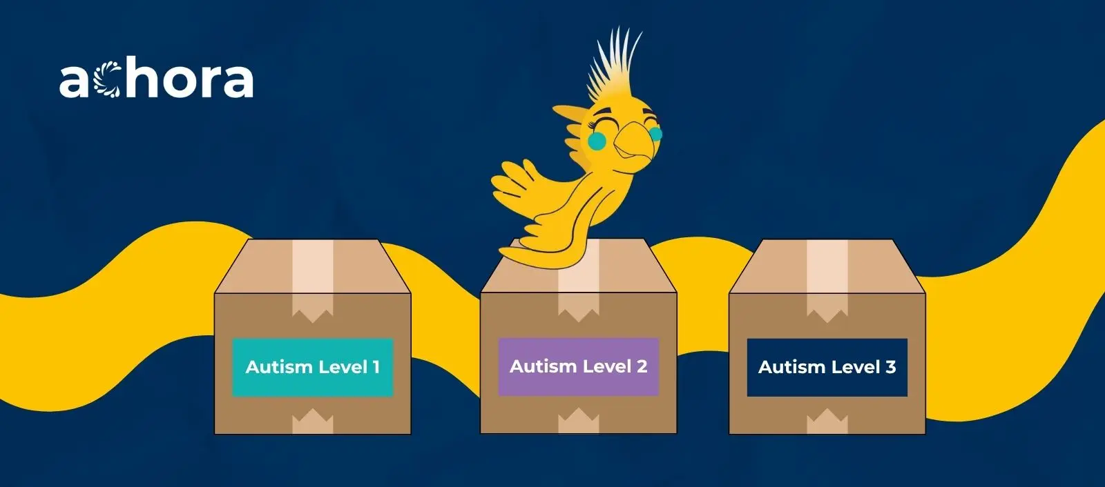 cora flying over boxes of different autism levels