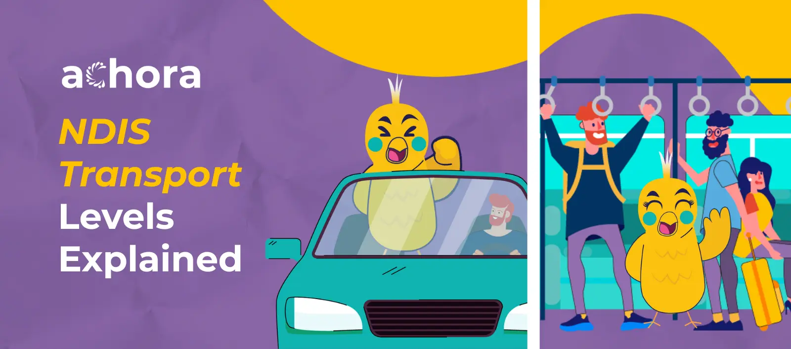 NDIS Transport Levels Explained: How to Know Whether You’re Level 1, 2 or 3 Cora Image